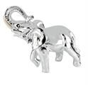 ELEFANTE 13xH12 CON ZANNE